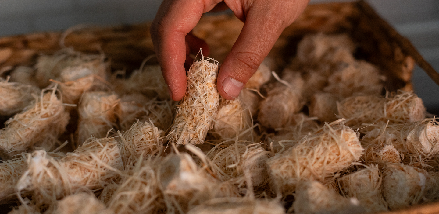 Wood wool firelighter